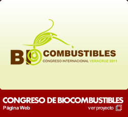 Ver Biocombustibles