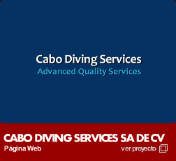 Ver Cabo Diving Services